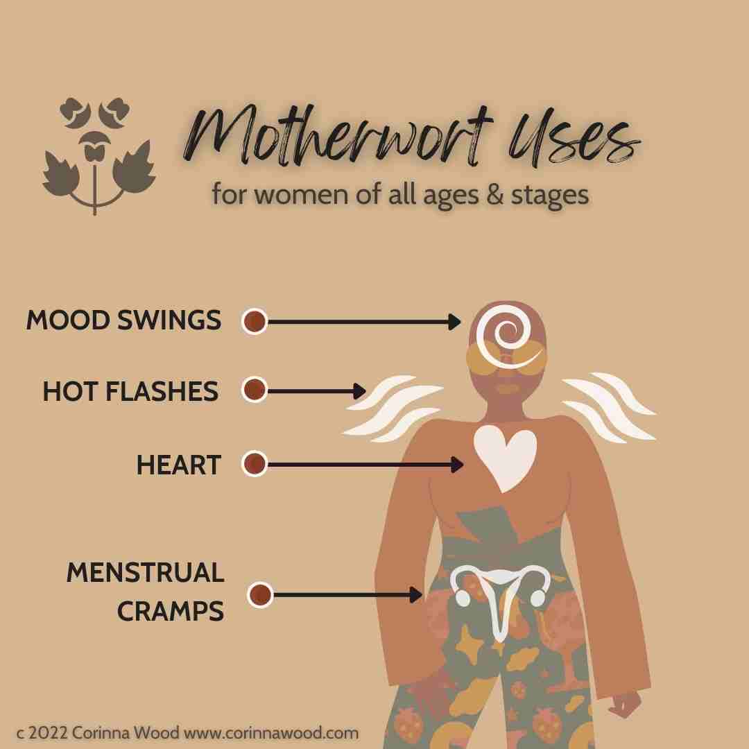 Organic Motherwort Tincture